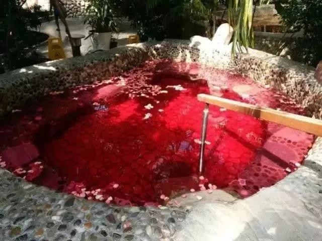 遼陽碧湖溫泉實拍圖片！端午福利