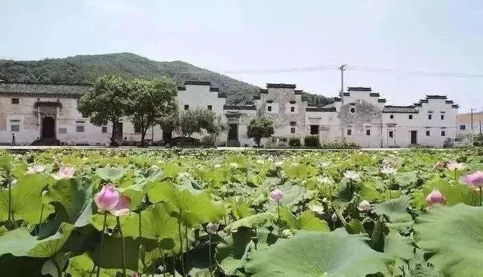 別宅了!諸暨5日療休養精品路線在此浪起來~