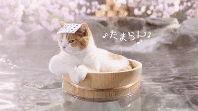 氣溫驟降！不要錯過湖北這些溫泉湯池，最后一個黃石人