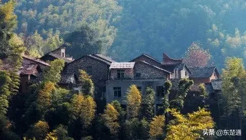 總投資3億元！康養基地星級農家樂露天水療…落戶黃石這里
