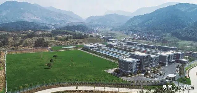 總投資3億元！康養基地星級農家樂露天水療…落戶黃石這里