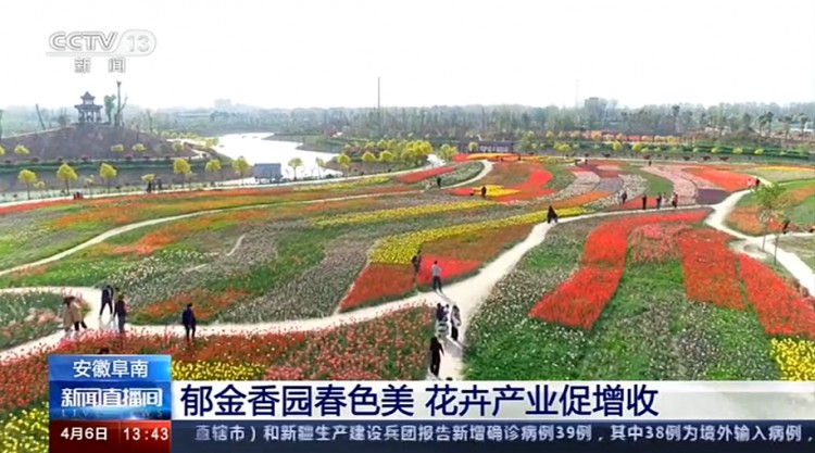 來一波2021春天的鮮花溫泉自駕游吧！坐標阜南縣田集鎮