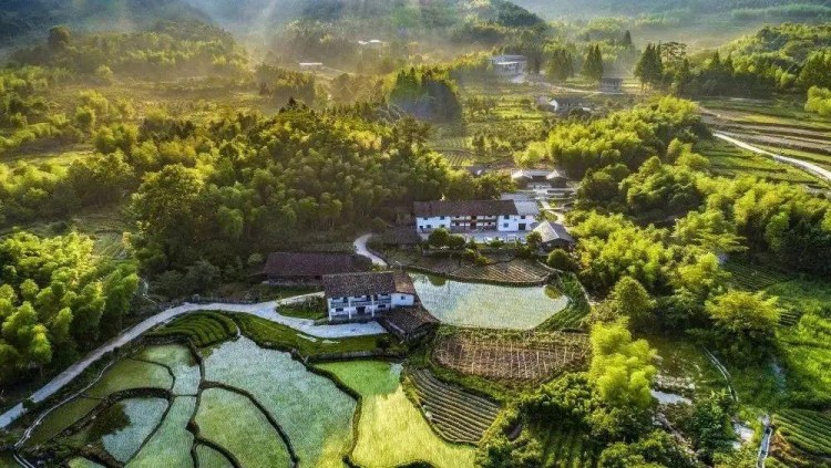 Go兔南平|來天然氧吧為自己做個氧氣SPA吧!