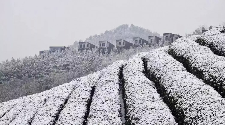 在竹海雪野里泡一場溫泉SPA這才是這個冬天最正確的打開方式