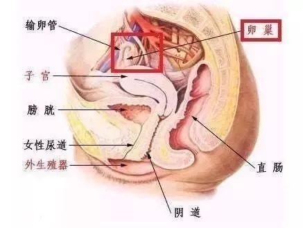 美容院害慘了多少女人滕州男人快告訴你老婆!這些項目千萬別再做了!