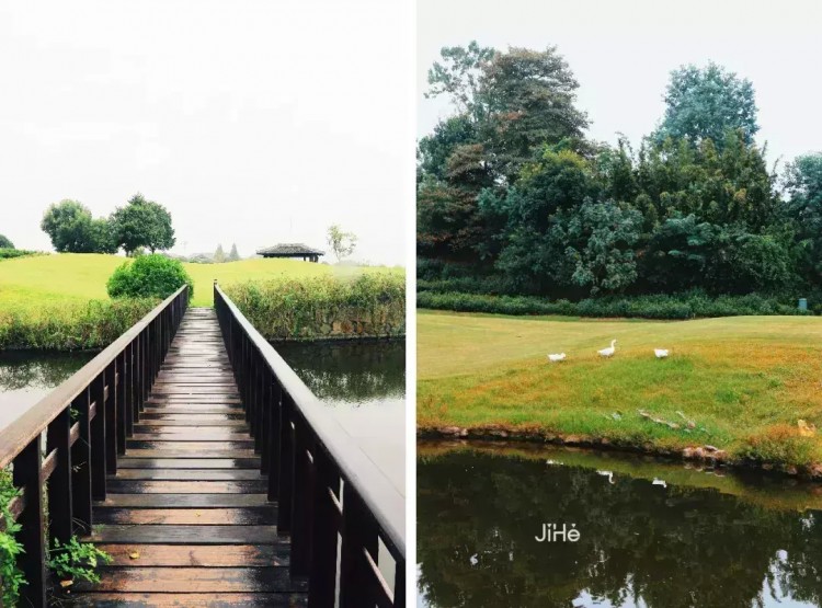 千畝茶園國際高爾夫球場恒溫泳池SPA,亞洲最佳度假村