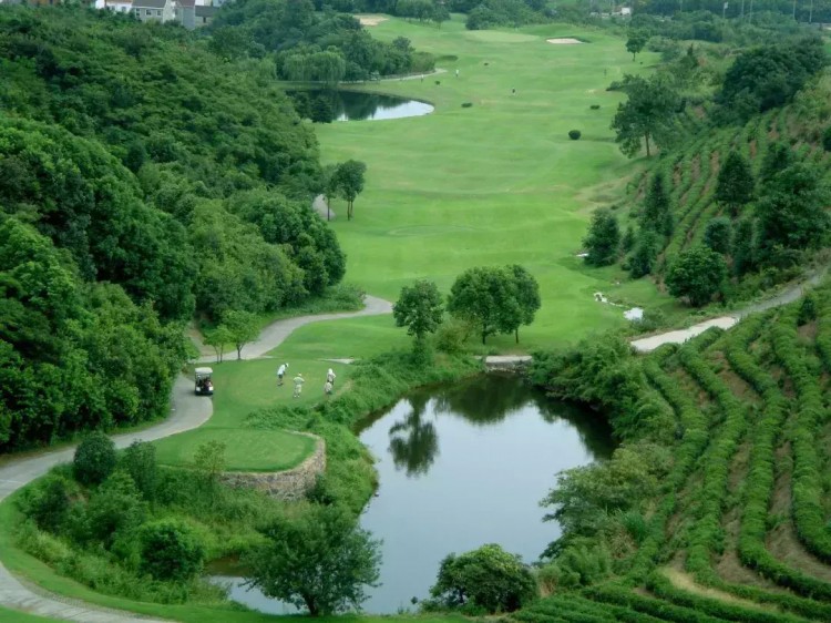 千畝茶園國際高爾夫球場恒溫泳池SPA,亞洲最佳度假村