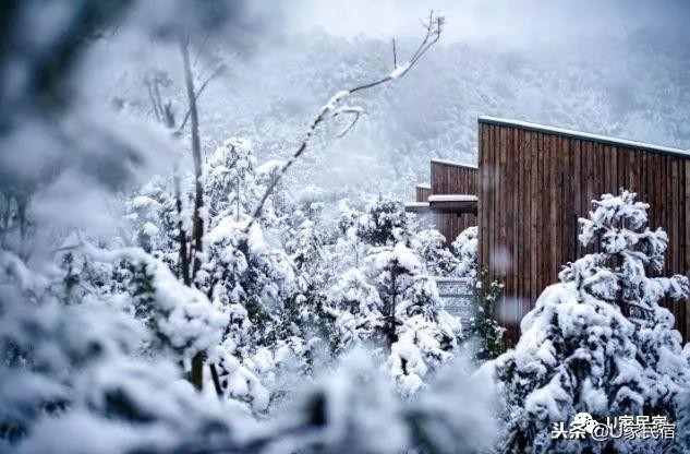 冬日續命必備！我不需要暖氣只要一場竹海雪野里的溫泉spa