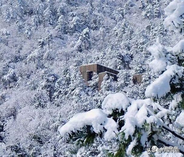 冬日續命必備！我不需要暖氣只要一場竹海雪野里的溫泉spa