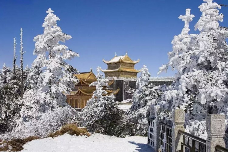 “天然氧吧”30分鐘飛躍！泡溫泉，游古鎮，樂山這個小鎮又火了！