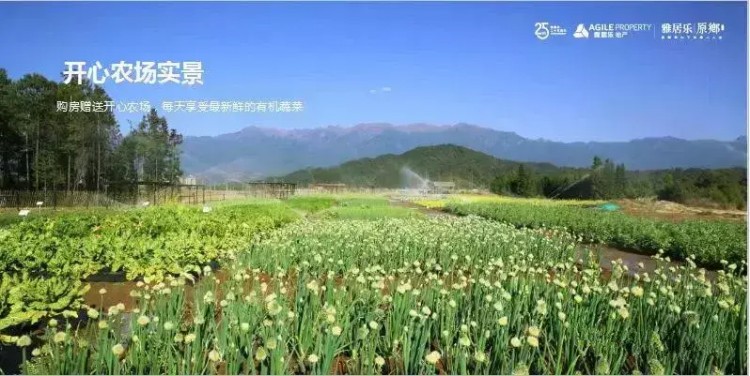 陶淵明筆下的世外桃源！這些焦作人竟在這個人間仙境建立了焦作部落！