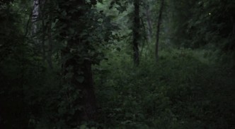 我看到螢火蟲啦！就在距杭州1H這樹屋山野溫泉spa無邊泳池