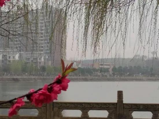 驕傲！孝感這9個鎮在全國出名了！看看有你家鄉嗎