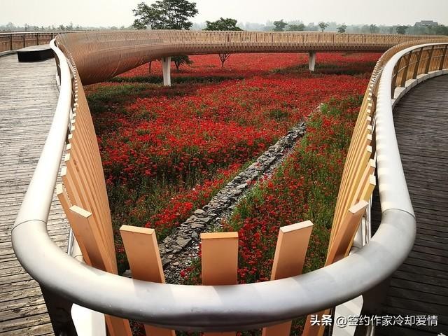 適合宿遷人周末休閑娛樂的十個建議你知道幾個