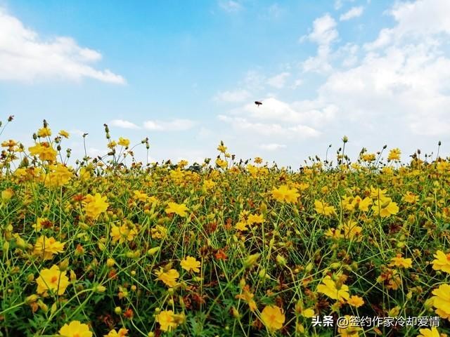適合宿遷人周末休閑娛樂的十個建議你知道幾個