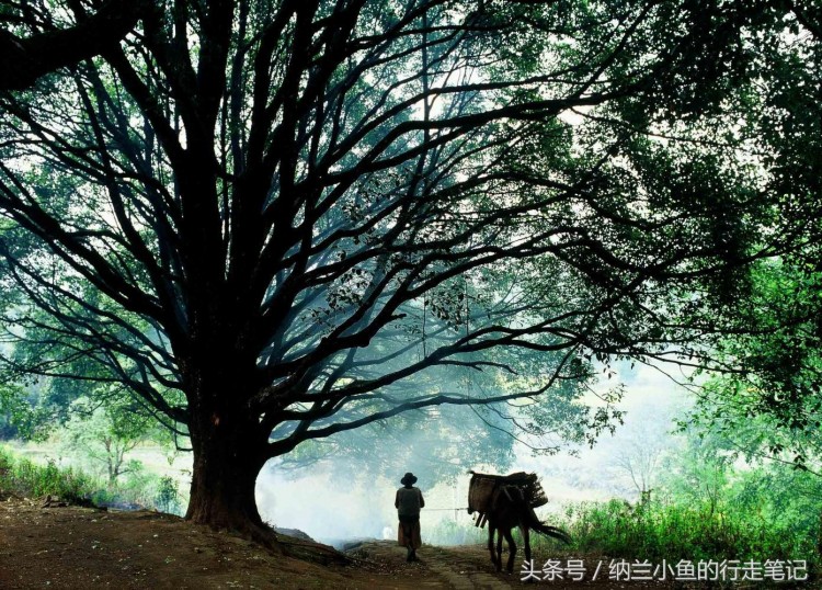 在云南和順柏聯酒店享受一場溫泉SPA才是冬天最正確的打開方式