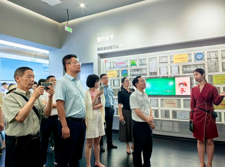襄十隨神隨我尋根全國媒體隨州行暨文旅局長沙龍活動走進隨縣