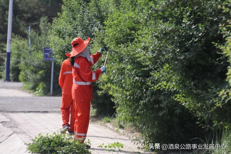 我為公路做spa路域環境煥新顏
