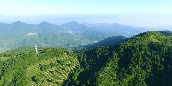 邂逅廣東云浮高山茶田藏一頂級酒店山峰疊翠云霧繚繞溫泉