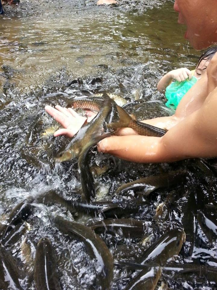 這一定是世界上最瘋狂的魚SPA了內心不夠強大真心不敢嘗試