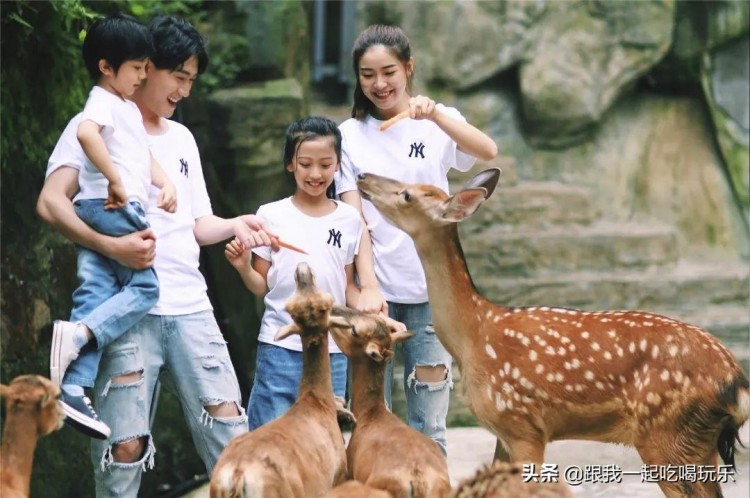 四川雅安現實版的瘋狂動物城生態野生動物園