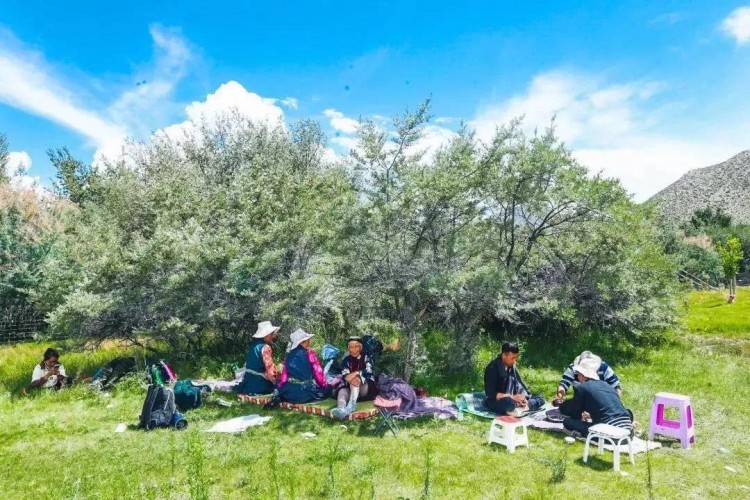 小山推薦丨過林卡吃酸奶還能做SPA山南避暑杠杠的~