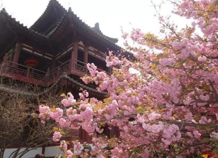 來楚雄旅游必去的10個(gè)景點(diǎn)！你知道嗎
