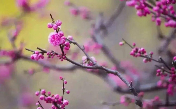 約“惠”大豐！三月女神季，一大波福利獻給最美的你！