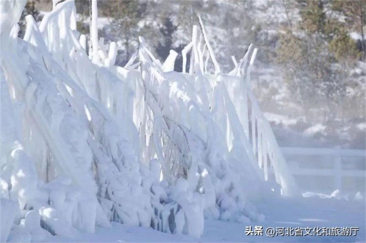 雪上馳騁打卡夢幻冰城堡！在這個度假小鎮進入童話世界~