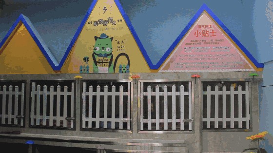 寵物寶寶生活館進駐周口