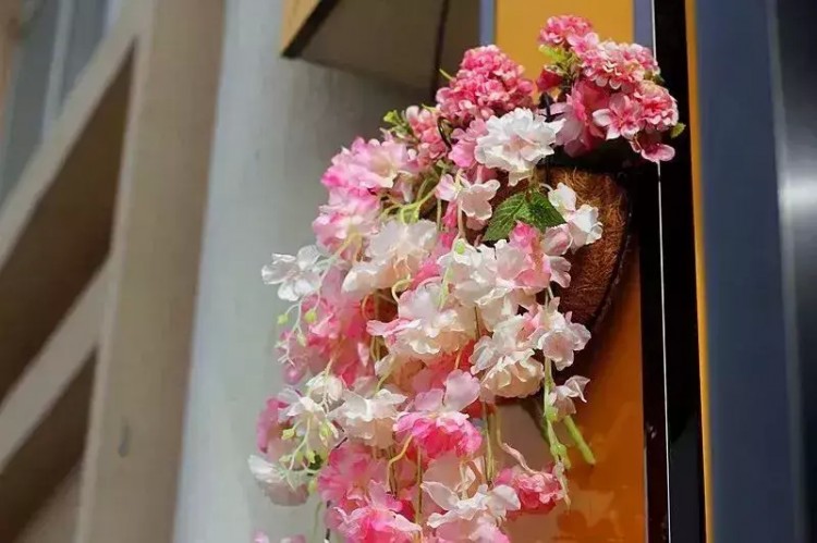 寵物寶寶生活館進駐周口
