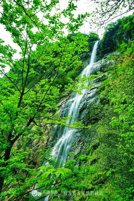 明月山硒式新生活真有這么神奇體驗師小福寶告訴你答案