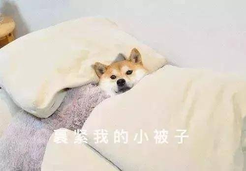 無泡湯不冬天！超全馬鞍山周邊泡湯指南快速收藏！
