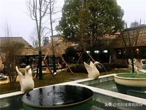 來貴陽過年的人你的新年第一泡來這里不負好時光！