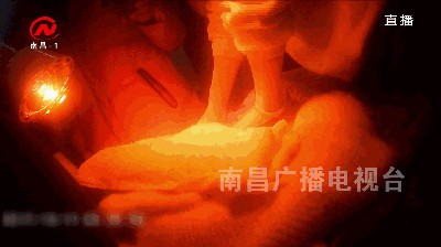 太黑了！南昌克麗緹娜遭曝光