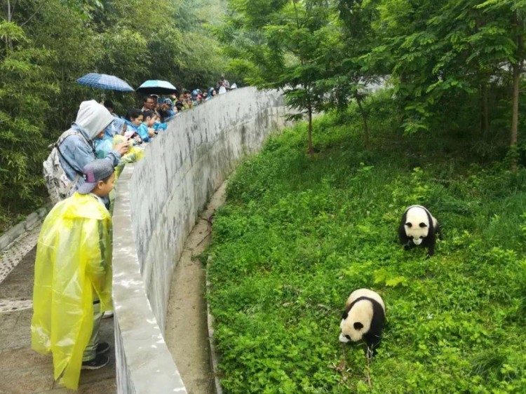 周末輕奢當自然教育遇上溫泉SPA