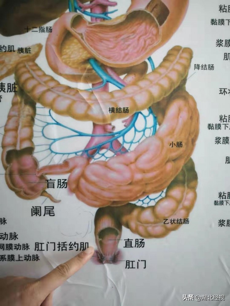 女子為養顏在美容院做腸道水療不料腹痛四天變成腸穿孔