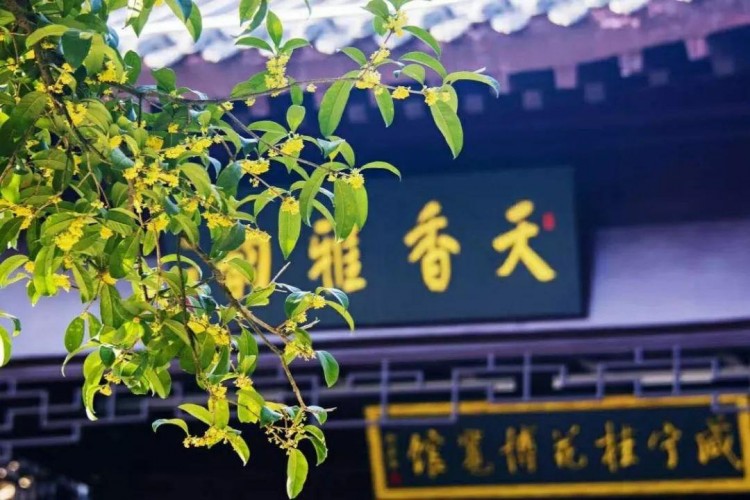 中國溫泉之城這9家溫泉記得收藏!等下雪就來泡~