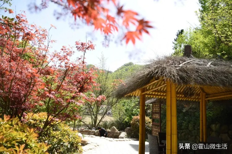 九月來霍山這個小鎮吃住游齊了