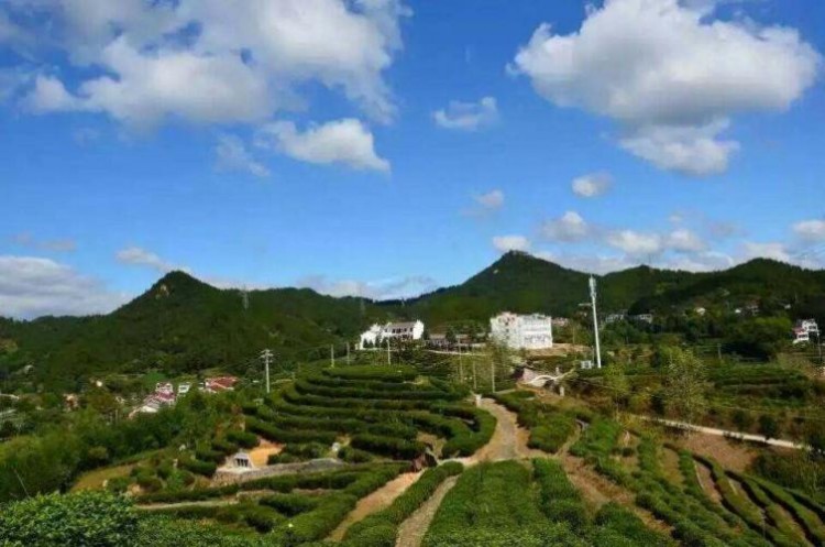 湖北周邊5條自駕游線路推薦最新最好玩的線路都在這里