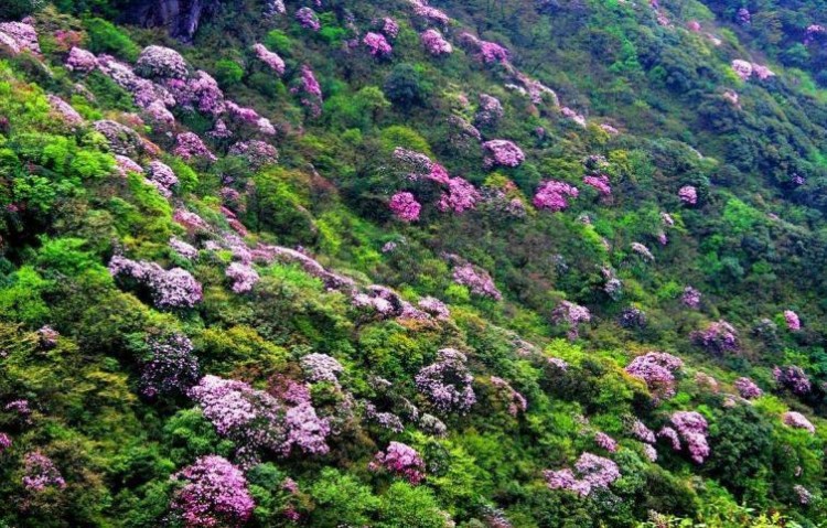 湖北周邊5條自駕游線路推薦最新最好玩的線路都在這里