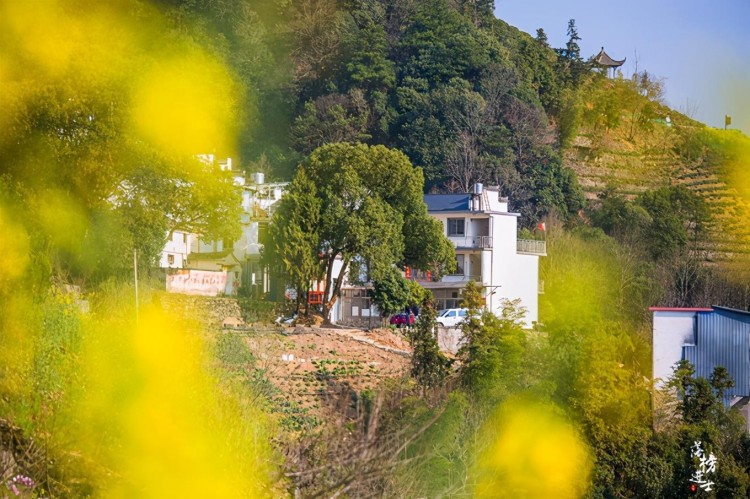 安徽歙縣有一座山上的村落免門票風景美是春天賞花的絕佳地