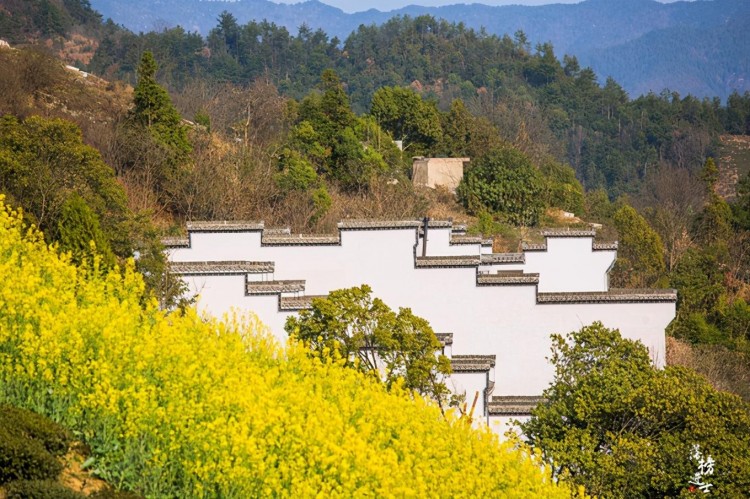 安徽歙縣有一座山上的村落免門票風景美是春天賞花的絕佳地