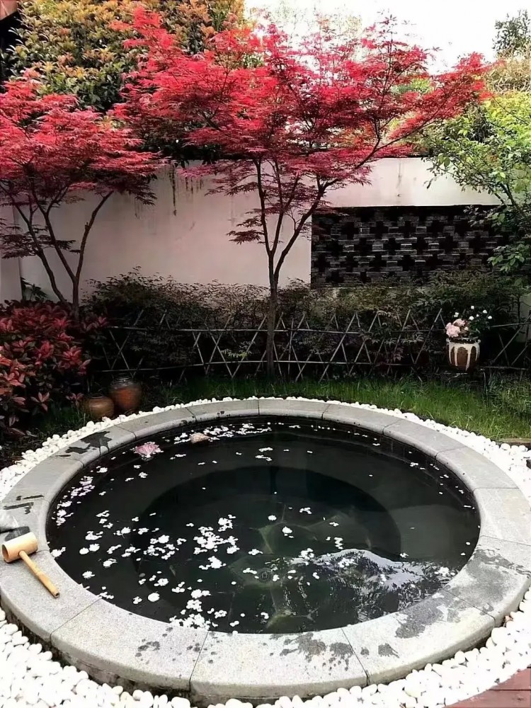 來半湯尋一汪溫泉溫暖這個秋冬