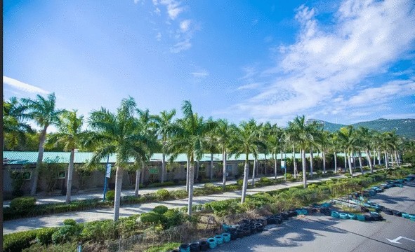 大融山石出溫湯療治百病暢游福州這處文獻名邦享海水溫泉