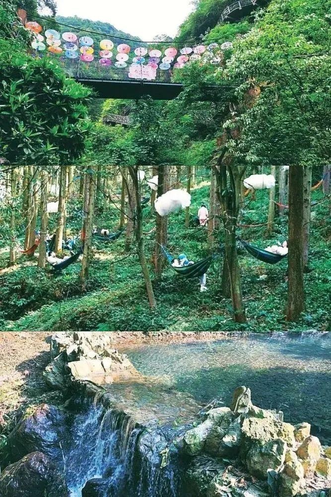 入選湖南首批中醫藥康養旅游省級示范體驗基地邵陽這三處景區牛了！