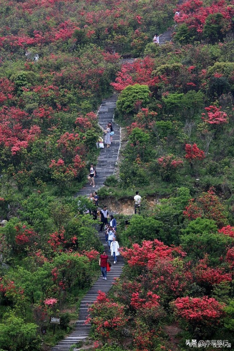 貴州適合老年人旅游的十大景點(diǎn)