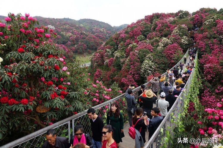 貴州適合老年人旅游的十大景點(diǎn)