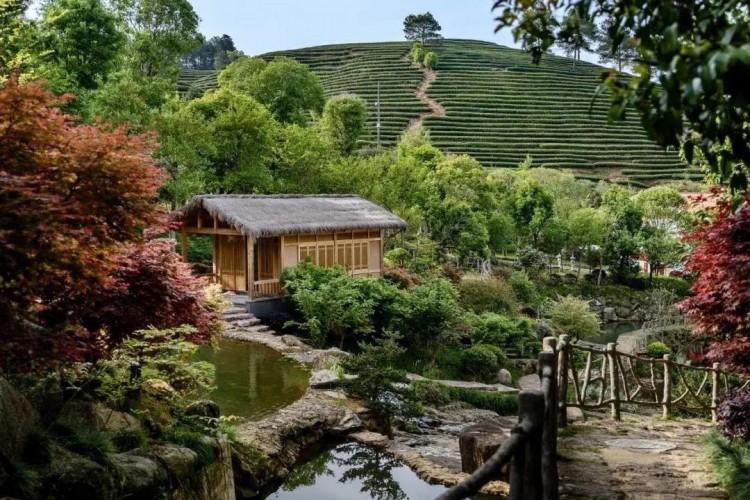 清新福建自游自在！自駕+潮玩的完美碰撞就在武夷山這場超燃活動