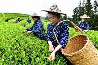 福建七大避寒景點